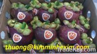 Sell fresh Mangosteen