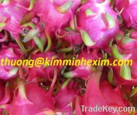 Sell Dragon fruit