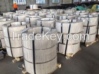 Cold rolled stainless steel strip in coil 4Cr13Mo / EN 1.4419 / DIN X38CrMo14