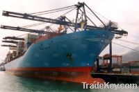 Sell Professional Ocean Freight Service