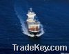Sell Shanghai Sea Freight Forwarder Logistic Service
