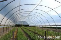 HDPE Film for Greenhouses