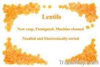 Sell lentils
