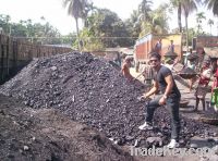 Export Indonesian Coal | Coking Coal Suppliers | Anthracite Coal Exporters | Low Sulfur Coal Traders | Steam Coal Buyers | Thermal Coal Wholesalers | Low Price Fuel Coal | Best Buy Indonesian Coal | Buy Coking Coal | Import Anthracite Coal | Thermal Coal 