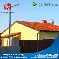 Sell Compact IP65 Maintenanc-free solar lawn light