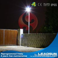 Sell 3 years warrantys LED solar garden lighting