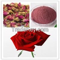 Rose Powder