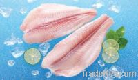 Sell pangasius-basa