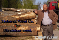 White Wood - Pine Wood board - Beech wood - Oak wood