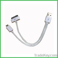 Sell 2-in-1 USB cable for iPhone iPod and mobiles