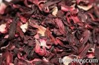 dried Red Hibiscus flower