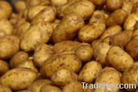 Holand potatoes