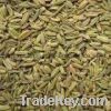 Sell Fennel Seed
