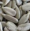 Sunflower Kernels