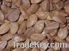 Brazil Nut