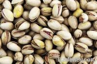 pistachio nuts for sale