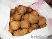 walnuts for sale