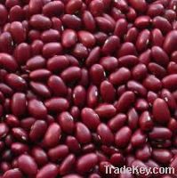Red Kidney beans for sale