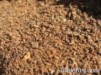 Cotton seed meal for sale