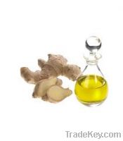 Ginger oil for sale