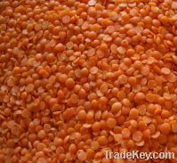 Red Split Lentils For Sale