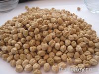 Kabuli Chickpeas For Sale