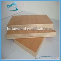 Sell bintangor plywood