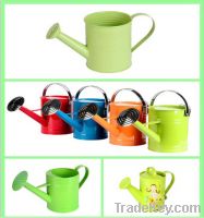 Sell watering can power coatings paint