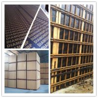 construction plywood/film faced plywood/marine plywood/shuttering plywood