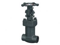 Bellow Gate Valve