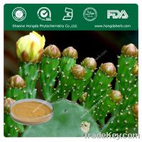 Sell 100% Natural Cactus extract powder