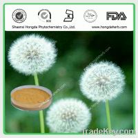 Sell Dandelion Plant Extract