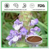 Sell Common Selfheal Fruit-spike extract