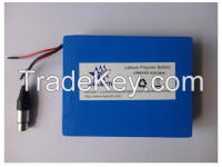 Lipo Battery Pack LP9670170 14.8V 20ah