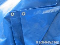 Sell Double Blue Pe Tarpaulin Sheet