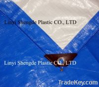 Sell White Blue Pe Tarpaulin Sheet for Cover