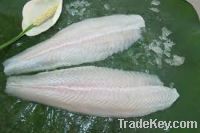 Pangasius white meat fillet