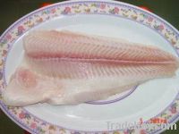 Pangasius untrimmed fillet