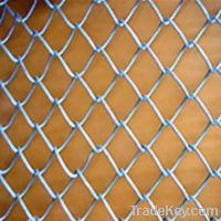 Sell chain link mesh in the high quality and best price(Anping China)