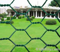 Sell PVC Chicken wire mesh