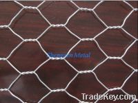 Sell hexagonal/chicken wire mesh