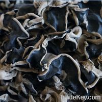 Sell dried black fungus