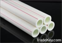 Sell Plastic PPR Pipe