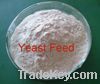 Sell Yeast for animal feed (45% protein)
