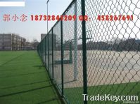 Galvanized chain link fence