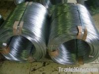 Sell Galvanized Wire