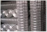 Sell Welded Wire Mesh (high quality)