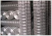 Welded Wire Mesh (high quality)