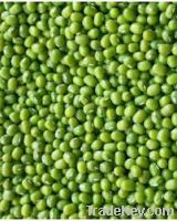 Mung Beans