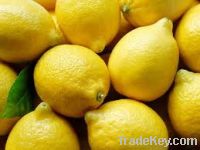 Fresh Lemon